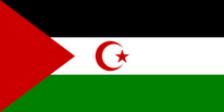 Flagge Fahne Western Sahara 90x150 cm