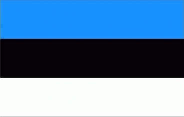 Flagge Fahne Estland Flagge 90x150 cm Sturmflaggen