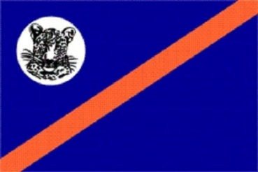 Flagge Fahne Bophuthatswana 90x60 cm *P