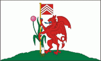 Flagge Fahne Cardiff Premiumqualität
