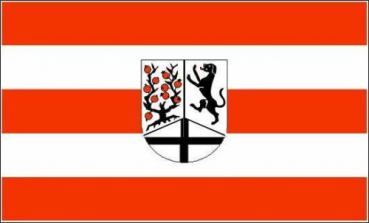 Flagge Fahne Delbrück 30x45 cm Stockflagge Hohlsaum