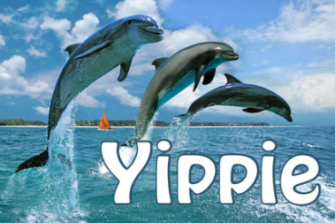 Flagge Fahne Delphin Yippie Delfin Fisch