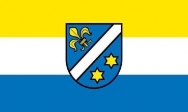 Flagge Fahne Dillingen Donau 30x45 cm Stockflagge Hohlsaum