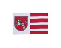 Flagge Fahne Dithmarschen 90x150 cm