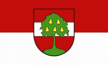 Flagge Fahne Dornbirn 30x45 cm Stockflagge Hohlsaum