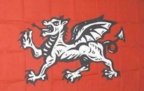 Flagge Fahne England Weisser Drache  90x150 cm