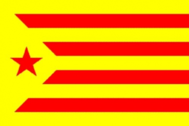 Flagge Fahne Estelada Groga 90x60 cm *P