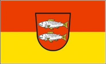 Flagge Fahne Forchheim 30x45 cm Stockflagge Hohlsaum