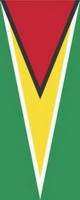 Bannerfahne Guyana Premiumqualität