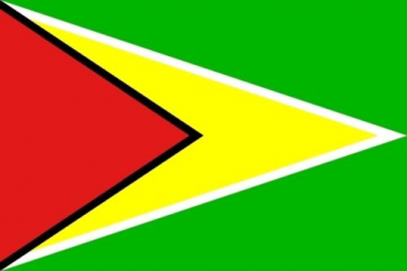 Tischflagge Guyana 10x15cm mit Ständer Tischfahne Miniflagge