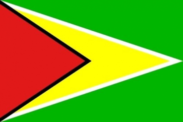 Flagge Fahne Guyana 90x60 cm *P