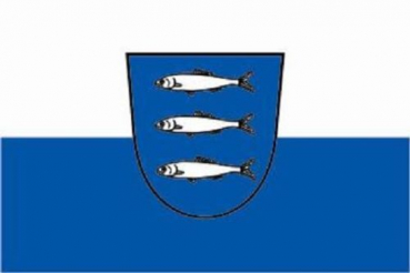 Flagge Fahne Heringsdorf Usedom 90x60 cm *P