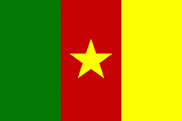 Riesen Flagge Fahne Kamerun