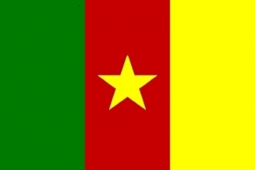 Tischflagge Kamerun 10x15cm mit Ständer Tischfahne Miniflagge