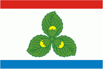 Flagge Fahne Krasnoznamensk Premiumqualität