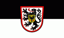 Flagge Fahne Landau Pfalz 90x150 cm