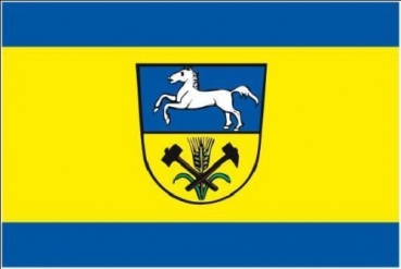 Flagge Fahne Landkreis Helmstedt 90x60 cm *P