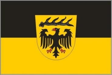 Flagge Fahne Landkreis Ludwigsburg 90x60 cm *P