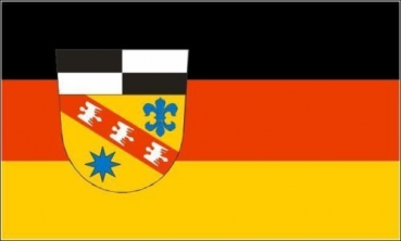 Flagge Fahne Landkreis Saarlouis 90x60 cm *P