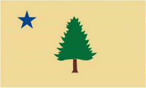 Flagge Fahne Maine 1901 Premiumqualität