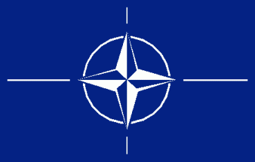 Autoaufkleber NATO 8 x 5 cm Aufkleber