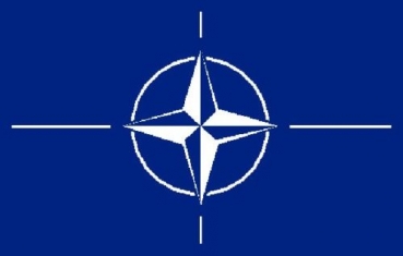 NATO Stockflagge Flaggen Fahnen Stockfahne 30x45cm 