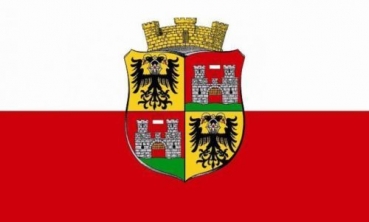 Flagge Fahne Wiener Neustadt Österreich 90x150 cm