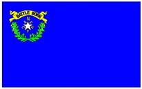 Flagge Fahne Nevada 90x150 cm