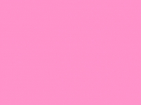 Stockflagge Rosa Pink Uni Stockfahne