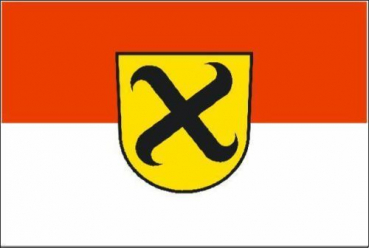 Flagge Fahne Pleidelsheim 90x60 cm *P