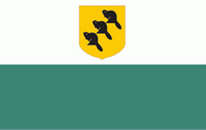 Flagge Fahne Polvamaa Premiumqualität
