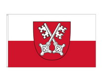 Flagge Fahne Regensburg 90x150 cm