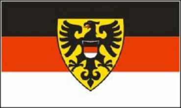 Flagge Fahne Reutlingen 90x60 cm *P