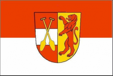 Flagge Fahne Riedlingen 90x60 cm *P