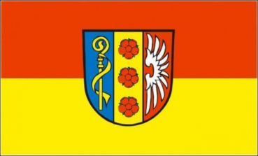 Flagge Fahne Rielasingen-Worblingen 90x60 cm *P