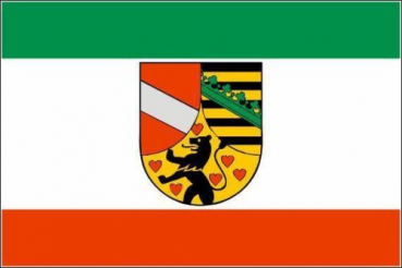 Flagge Fahne Saale-Holzland-Kreis 90x60 cm *P