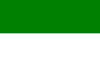 Riesen Flagge Fahne Schützenfest grün-weiß
