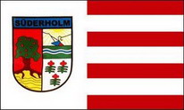 Flagge Fahne Süderholm 90x150 cm