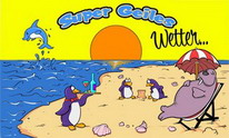 Flagge Fahne Super geiles Wetter Pinguin  90x150 cm