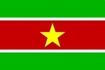 Tischflagge Surinam 10x15cm mit Ständer Tischfahne Miniflagge