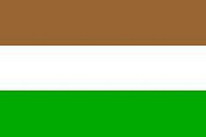 Flagge Fahne Transkei 1976-1994 Premiumqualität