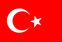 Papierfahne Türkei 12x24 cm