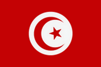 Boots / Motorradflagge Tunesien
