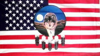 Flagge Fahne USA Traumfänger Wolf 90x150 cm