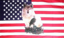 Flagge Fahne USA Wolf und Adler 90x150 cm