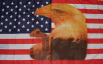 Flagge Fahne USA mit großem Adler 90x150 cm