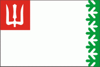 Flagge Fahne Volkhov Rajon Premiumqualität