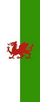 Bannerfahne Wales Premiumqualität