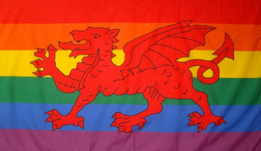 Flagge Fahne Regenbogen Wales Drache 90x150 cm