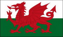 Flagge Fahne Drachen (Wales)  90x150 cm